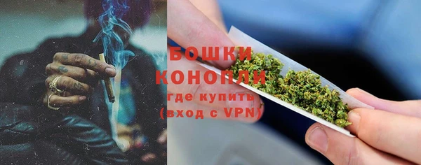прущие грибы Красноперекопск