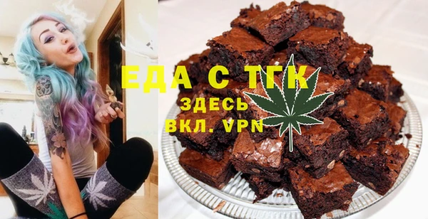 индика Костерёво