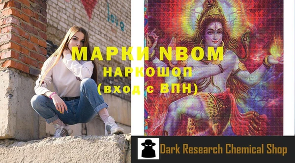 индика Костерёво