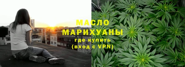 индика Костерёво