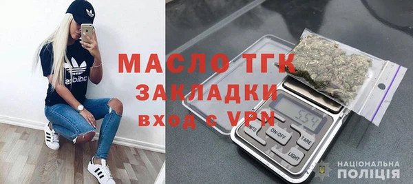 индика Костерёво