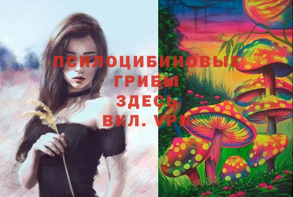 а пвп мука Корсаков