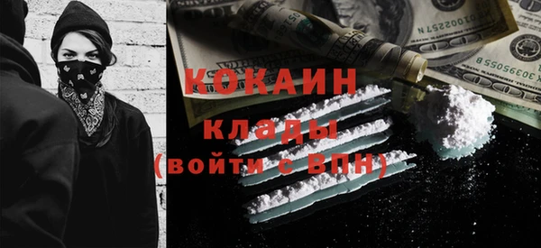 прущие грибы Красноперекопск