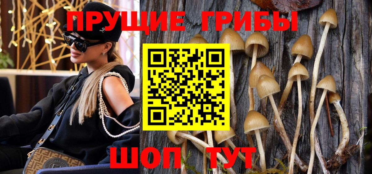 Саяногорск  Псилоцибиновые грибы Psilocybine cubensis  Вход с VPN  Псилоцибиновые грибы GOLDEN TEACHER 